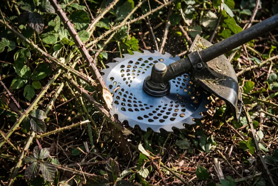 A detailed close-up shot of a sharp, circular brush cutter blade actively cutting through a dense thicket of thorny brambles and undergrowth.