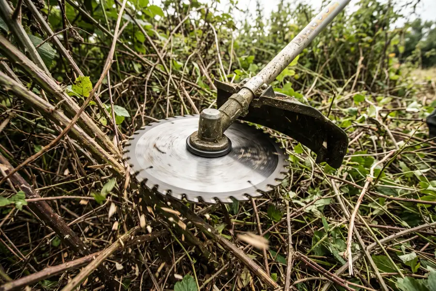 40-tooth brush cutter blade cutting through thick brush and woody brambles